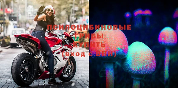 ешки Вязьма