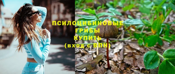 ешки Вязьма