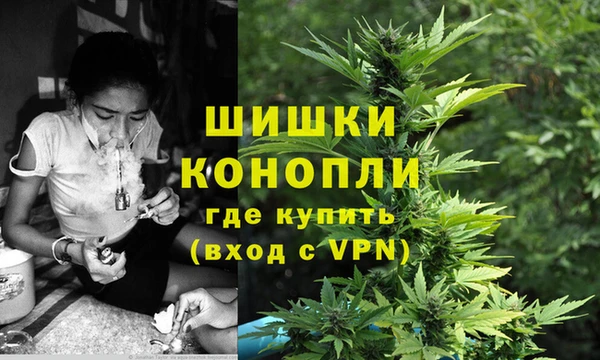 ешки Вязьма