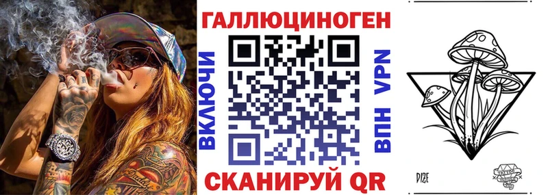 Купить  Грозный  Псилоцибиновые грибы Cubensis 